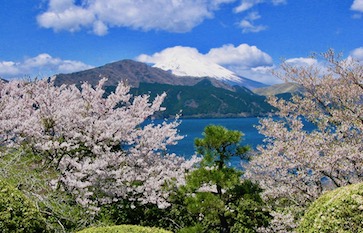 観光情報 箱根 芦ノ湖の温泉 旅館なら和心亭豊月 公式